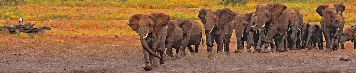 Waterberg Accommodation footer banner